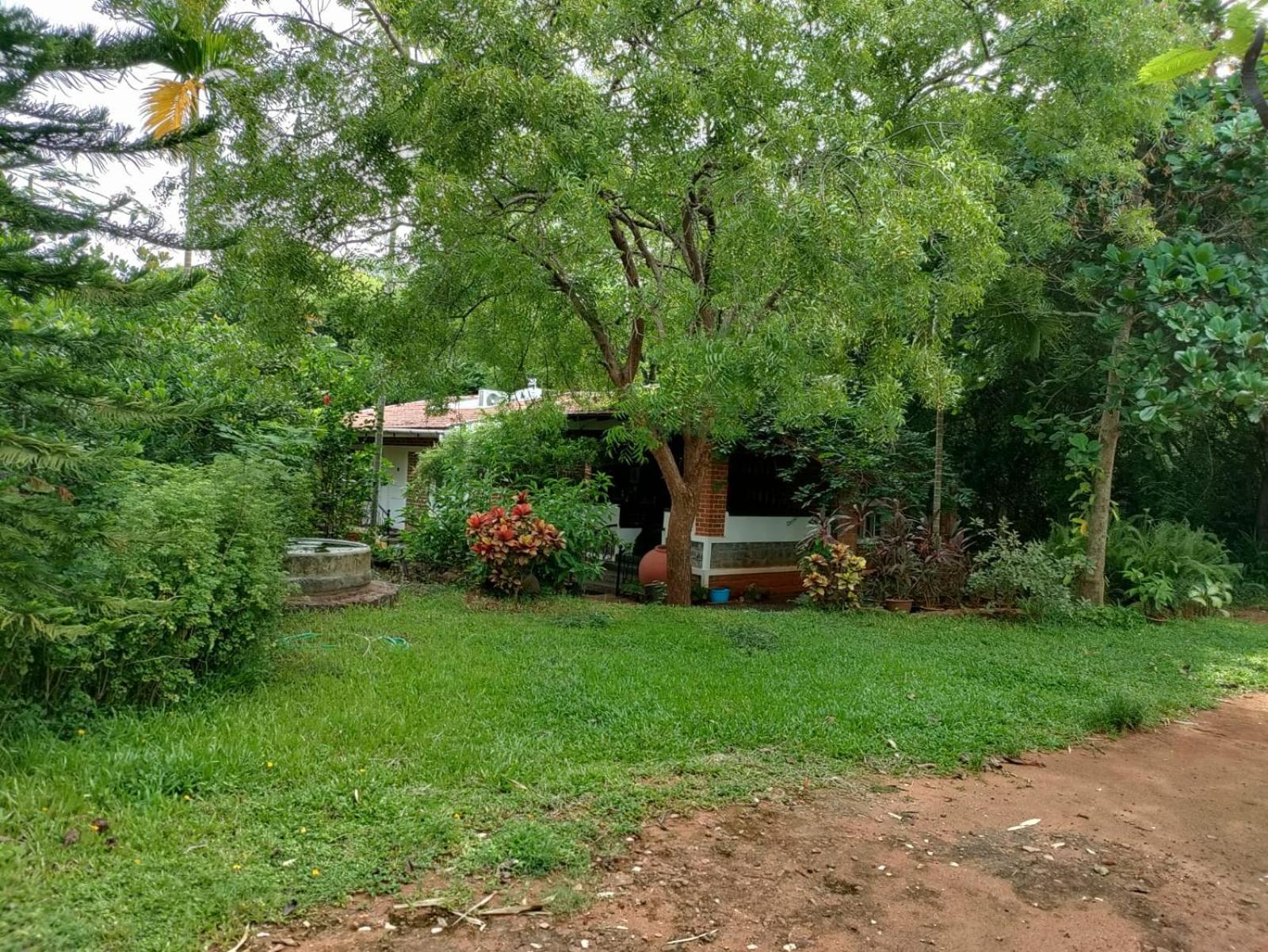Inn Pondiville Forest Retreat Пондичери Екстериор снимка
