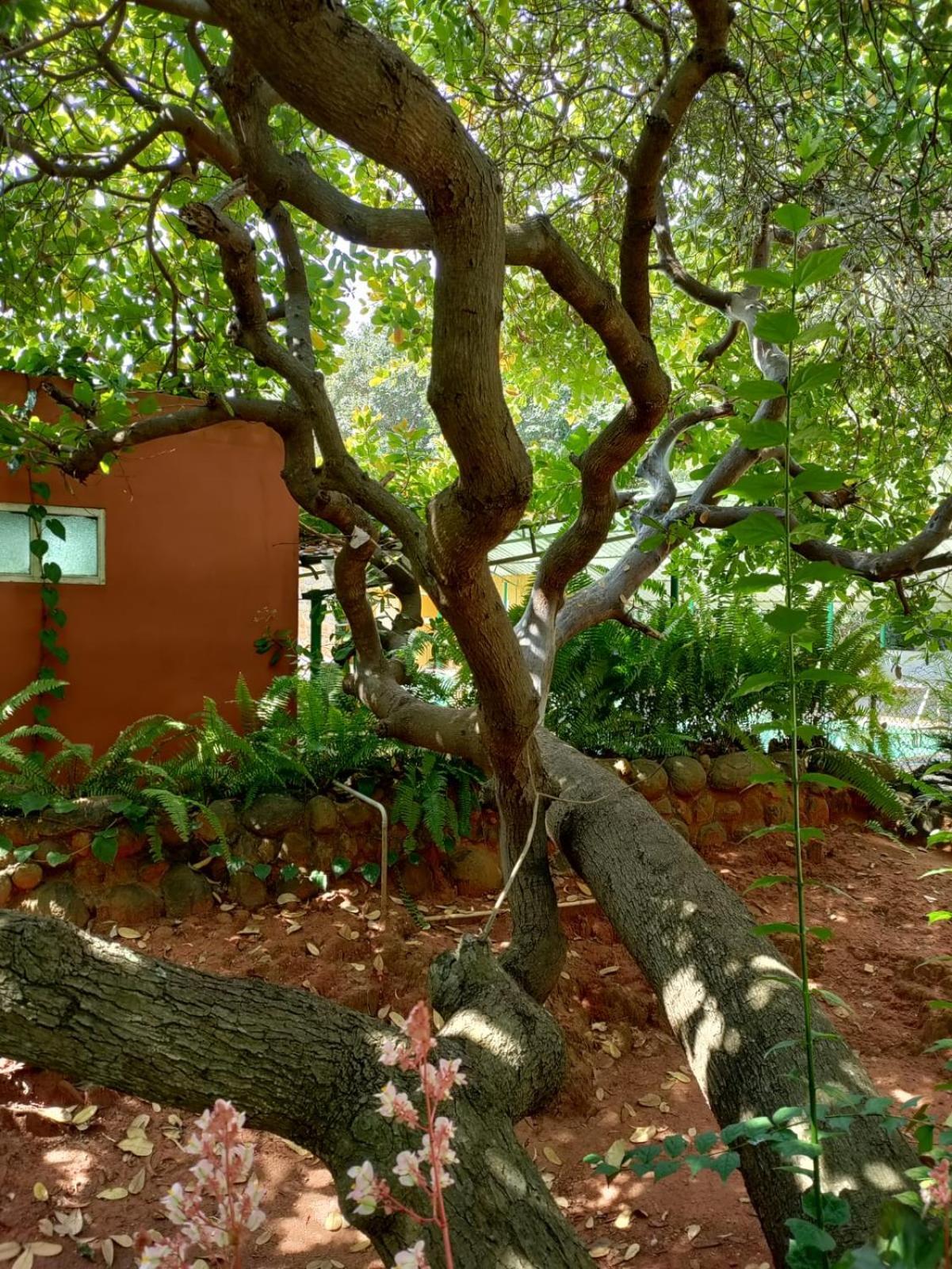 Inn Pondiville Forest Retreat Пондичери Екстериор снимка