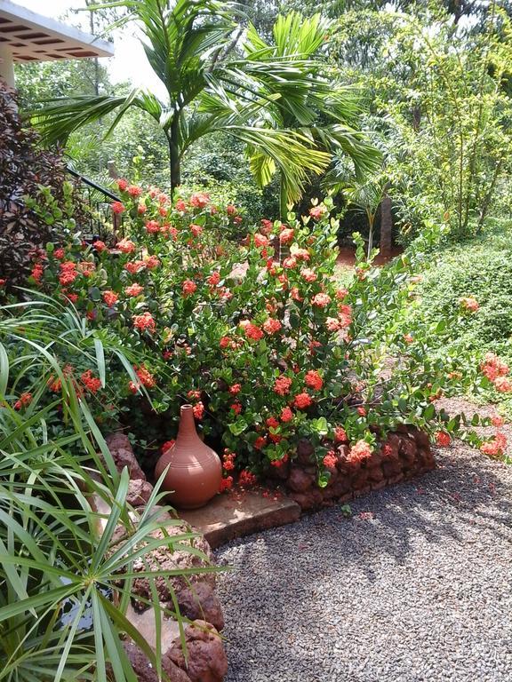Inn Pondiville Forest Retreat Пондичери Екстериор снимка
